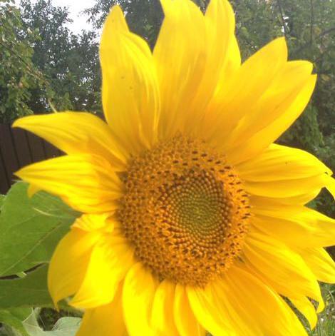 НаталияСтепанова