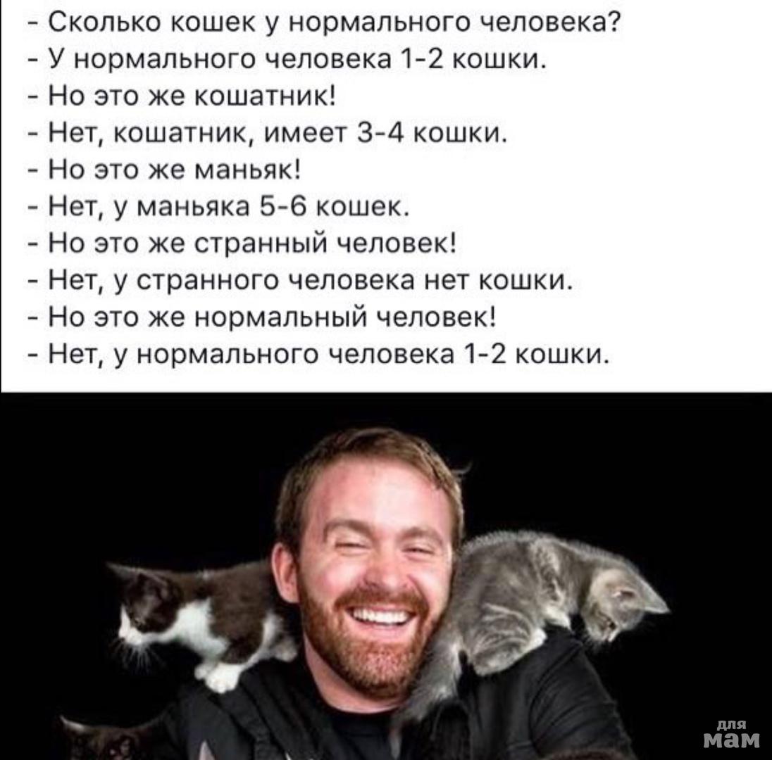 Почему люди любят котиков. Люди у которых нет кошек. Папа не хотел кота. Почему люди полюбили кошек. Люди у которых нет кошек.