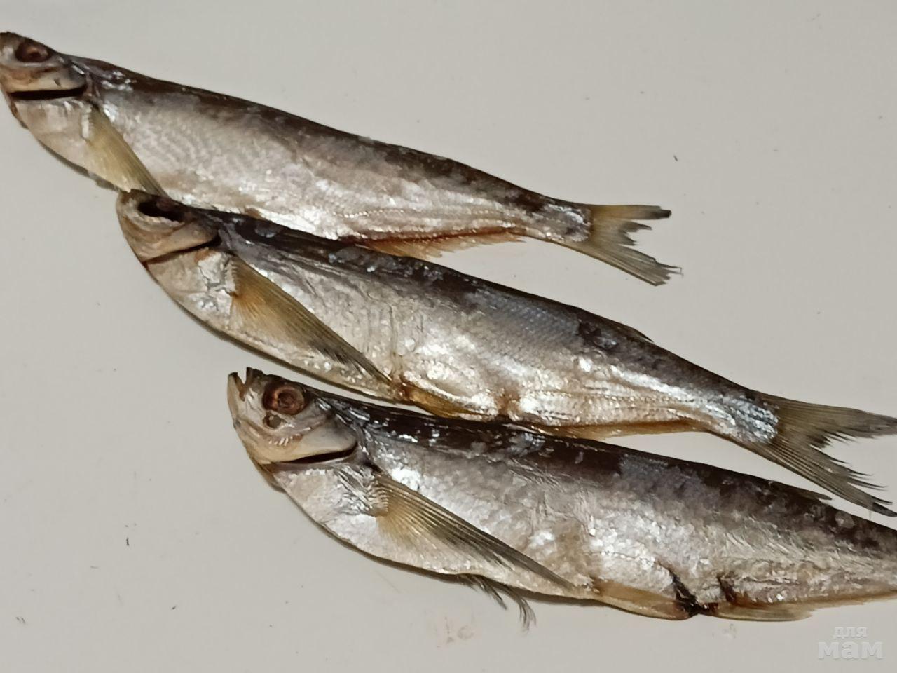 Шамайка вяленая. Чехонь астраханская. Чехонь рыба вяленая. Как готовить чехонь. Чехонь.